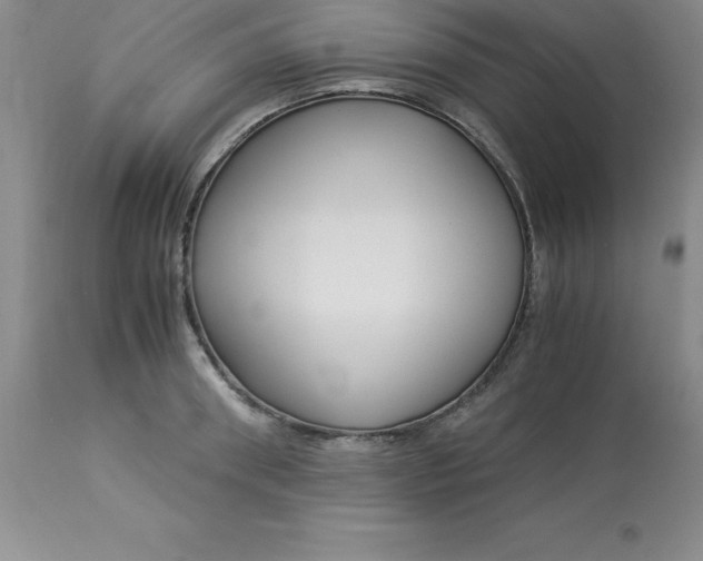 X0000112880898200909181845