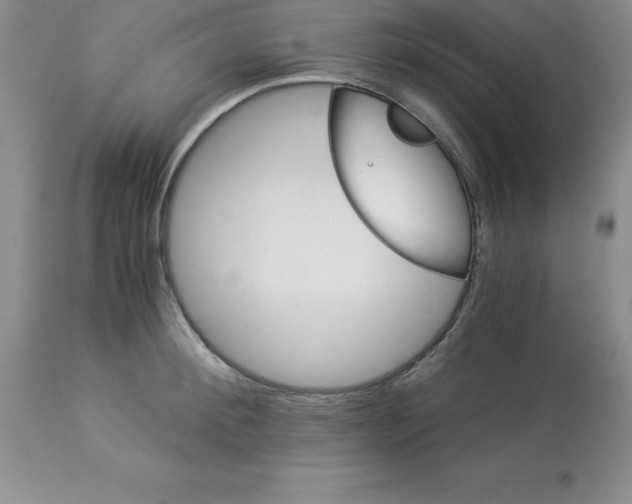 X0000112880900200909181845