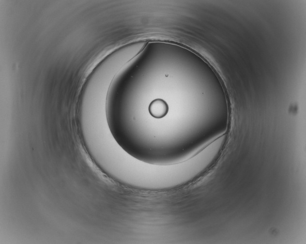 X0000112880901200909181845