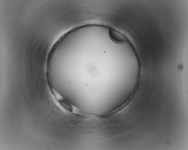 X0000112880902200909181845