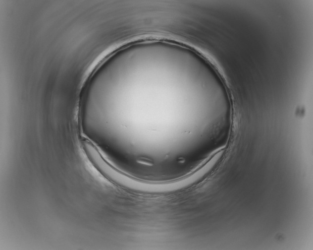 X0000112880903200909181845