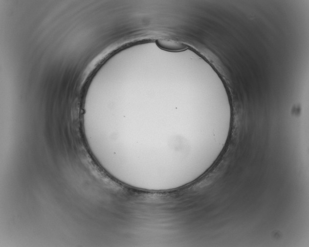 X0000112880904200909181845