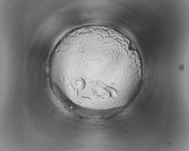 X0000112880907200909181845