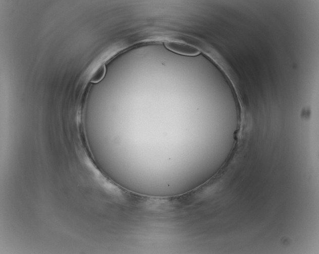 X0000112880909200909181845