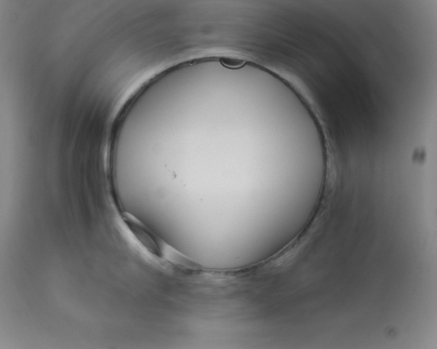 X0000112880910200909181845