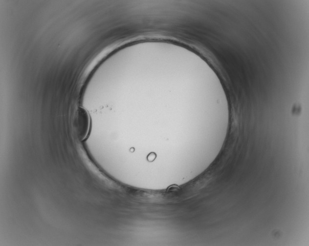 X0000112880911200909181845