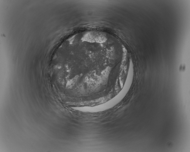 X0000112880913200909181845