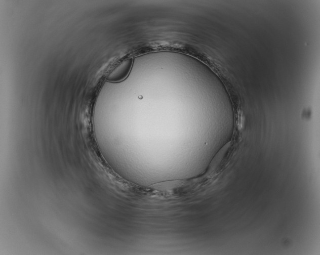 X0000112880915200909181845