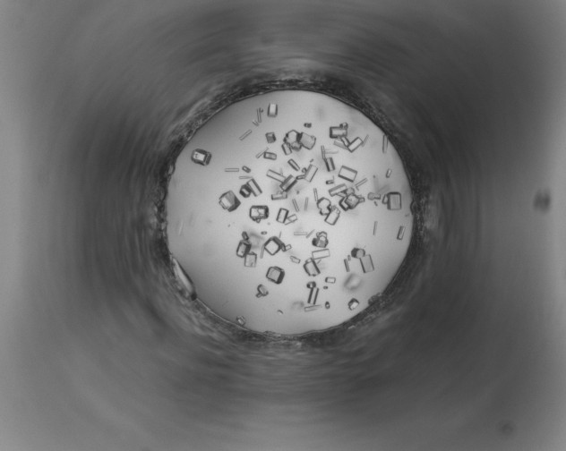 X0000112880916200909181845