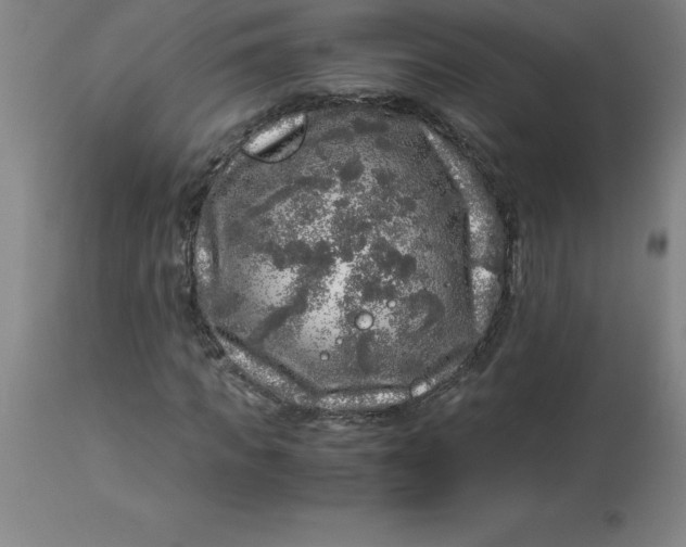 X0000112880917200909181845