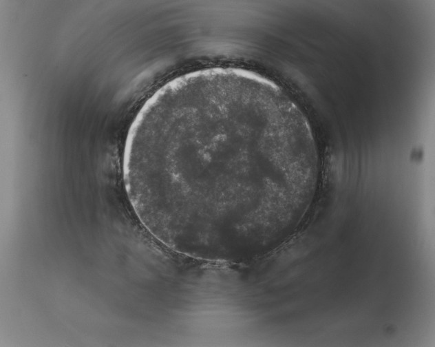 X0000112880918200909181845