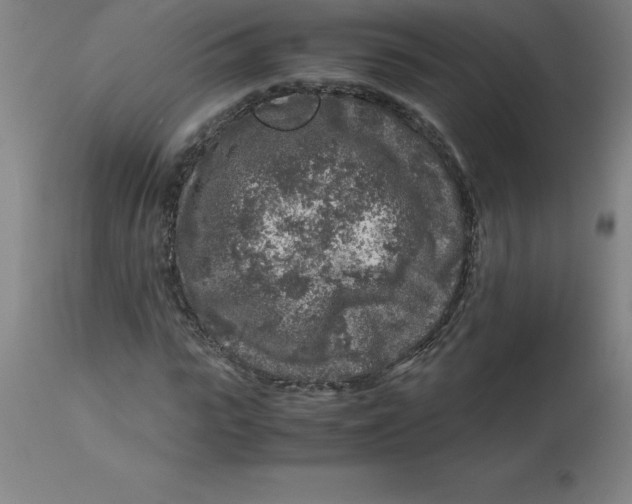 X0000112880919200909181845