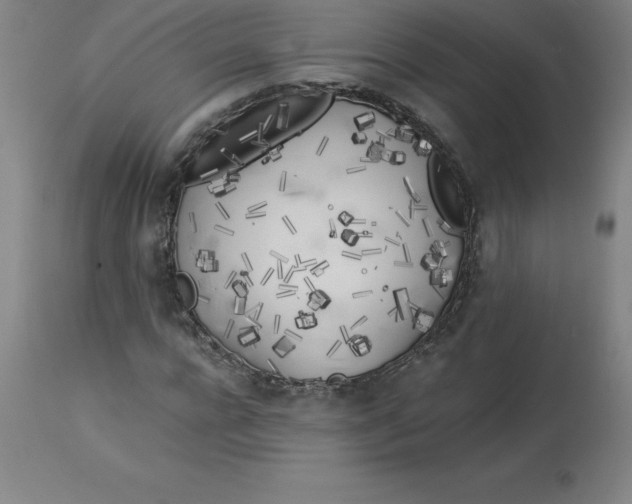 X0000112880920200909181845