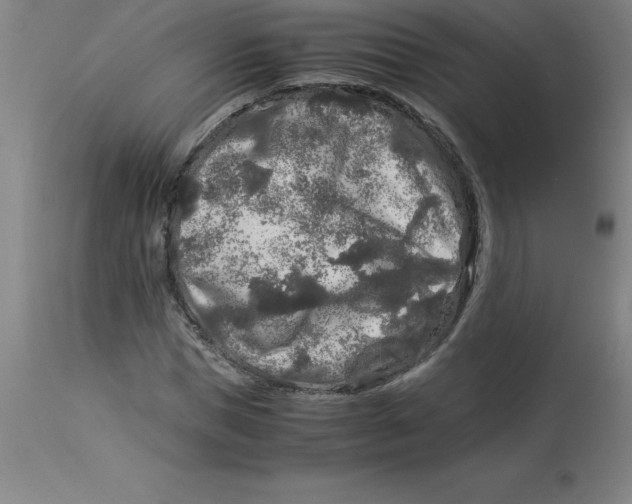 X0000112880921200909181845