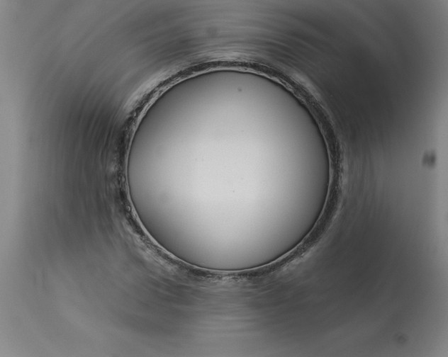 X0000112880922200909181845