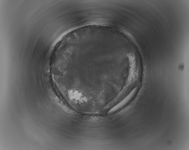 X0000112880923200909181845