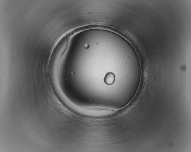 X0000112880924200909181845