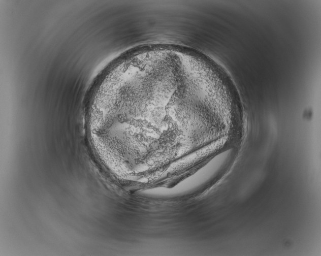 X0000112880925200909181845