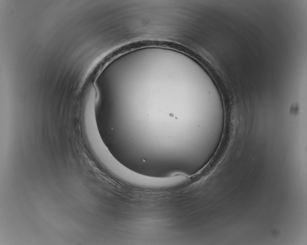 X0000112880926200909181845