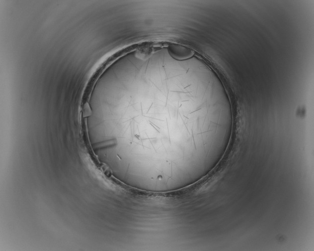 X0000112880932200909181845