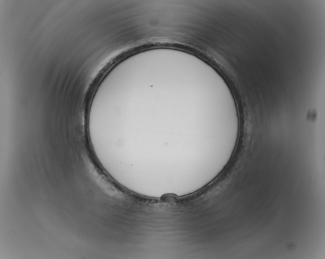 X0000112880934200909181845