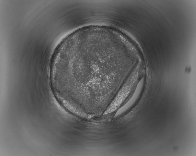 X0000112880935200909181845