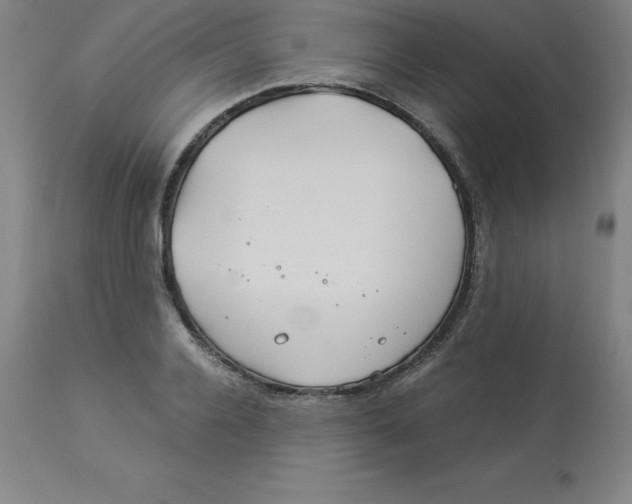 X0000112880936200909181845