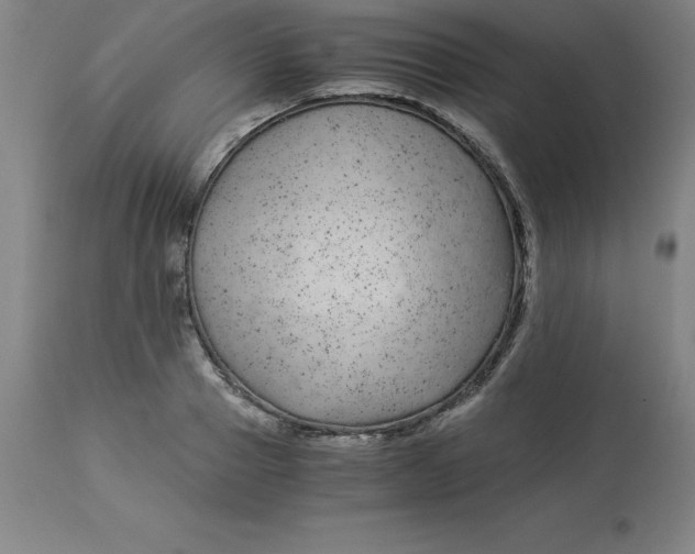 X0000112880937200909181845