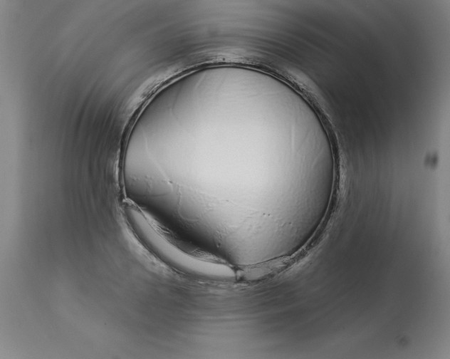 X0000112880938200909181845