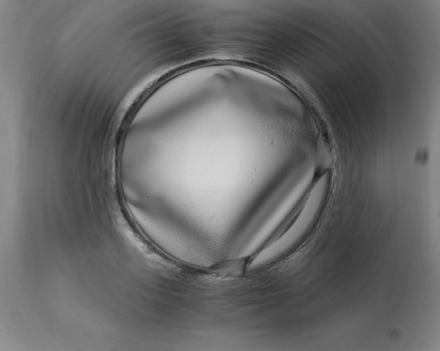 X0000112880939200909181845