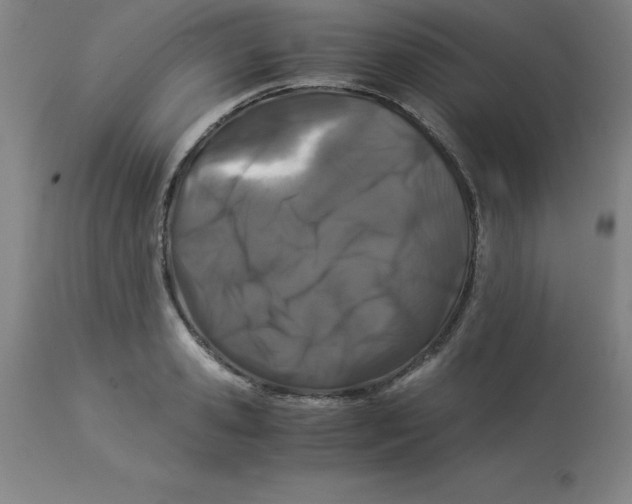 X0000112880941200909181845