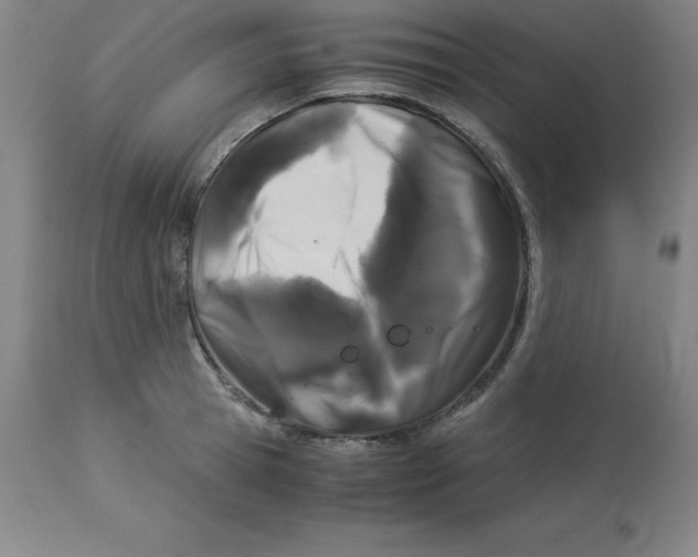 X0000112880945200909181845