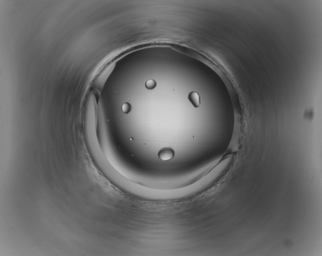 X0000112880948200909181845