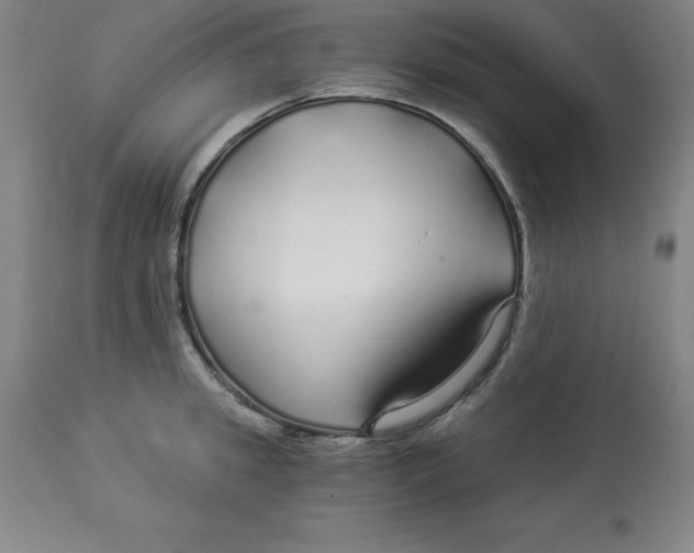 X0000112880949200909181845