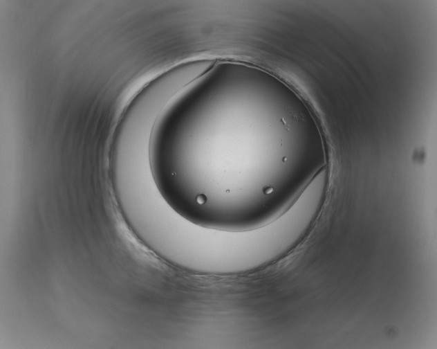 X0000112880952200909181845