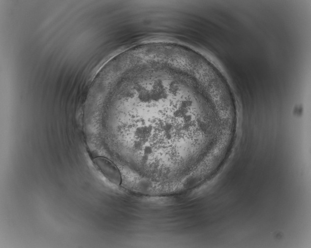 X0000112880953200909181845