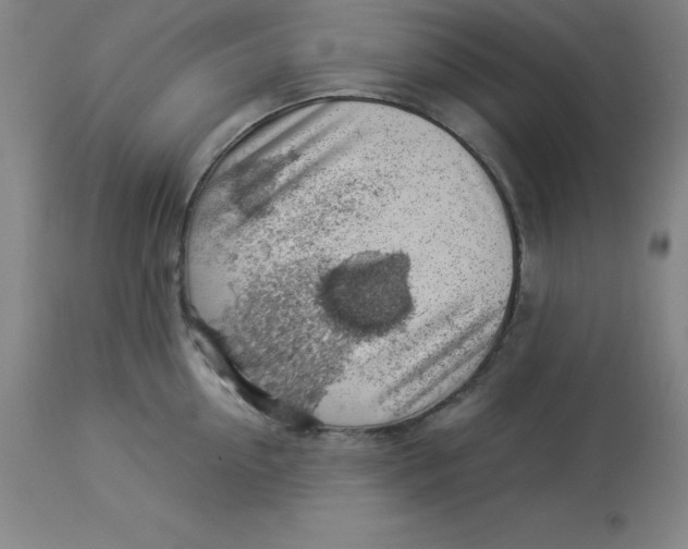 X0000112880954200909181845