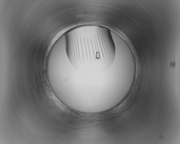 X0000112880956200909181845