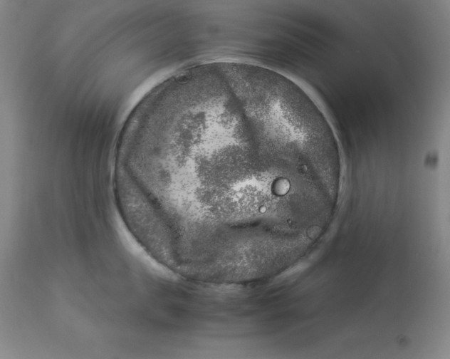 X0000112880957200909181845