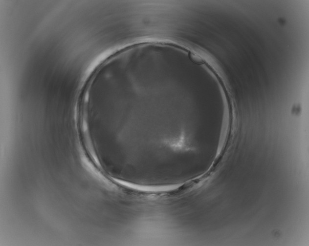 X0000112880958200909181845