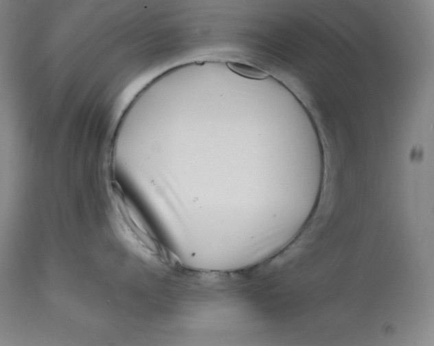 X0000112880960200909181845