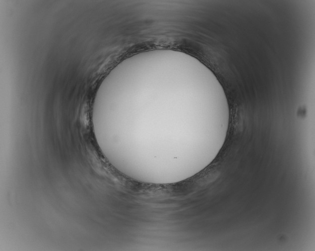 X0000112880962200909181845