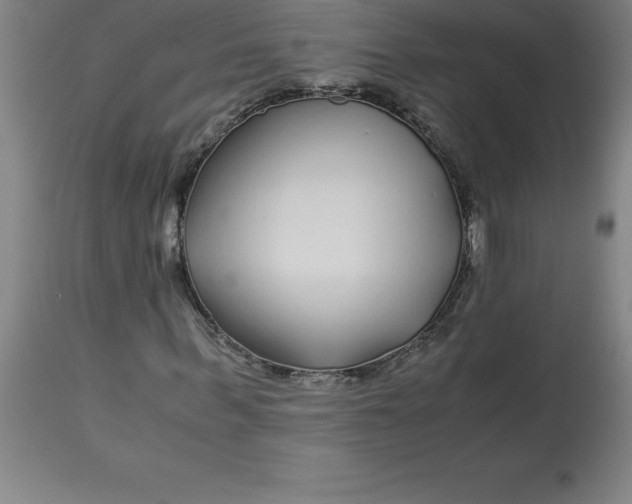 X0000112880963200909181845