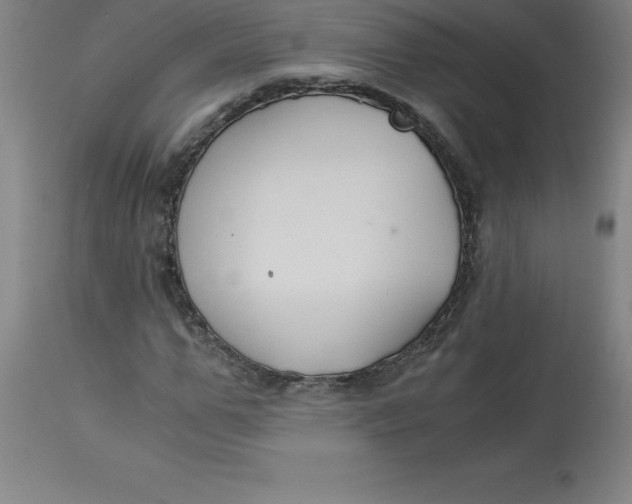 X0000112880967200909181845