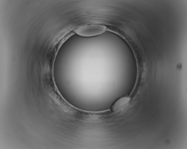 X0000112880969200909181844