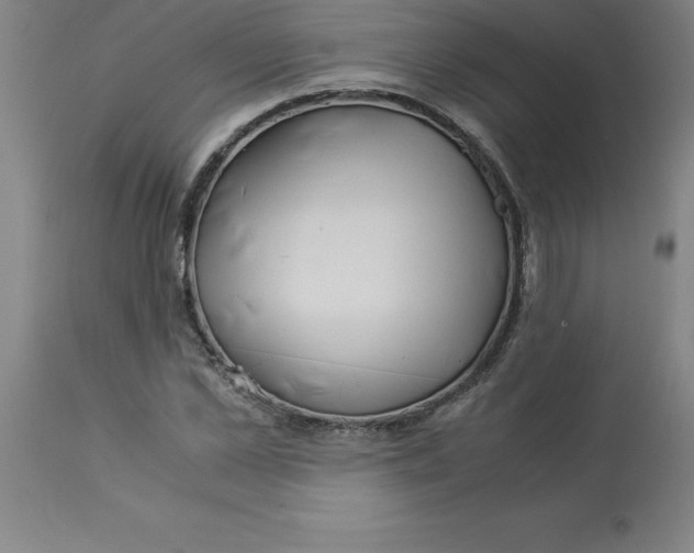 X0000112880973200909181844