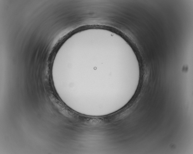 X0000112880974200909181844