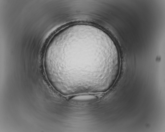 X0000112880975200909181844