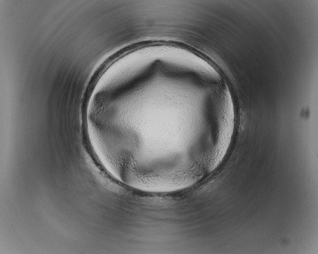 X0000112880980200909181844