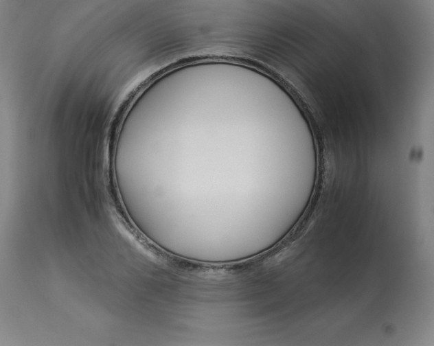 X0000112880982200909181844